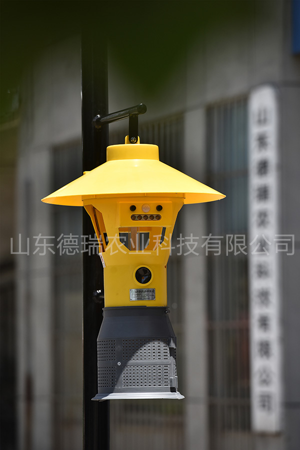 香蕉视频污污